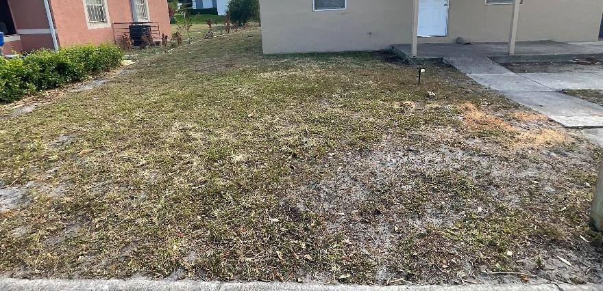 Well-maintained landscaping