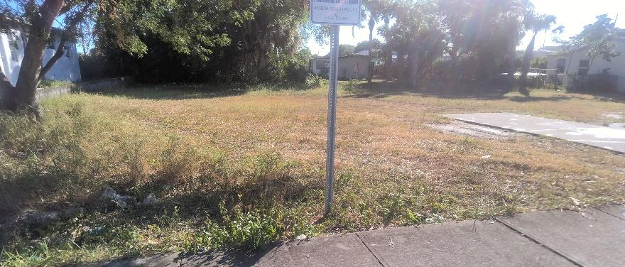 Vacant property with overgrowth